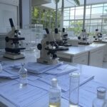 Laboratório biomédico no Brasil com equipamentos para testes de Polilaminina em lesões medulares e documentos burocráticos simbolizando entraves à inovação.