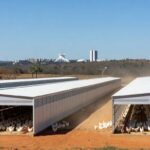 Granja de avicultura no DF com aviários e paisagem de Brasília, representando homenagem ao apoio ao setor.