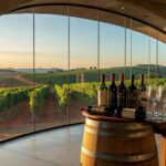 Vinícola Brasília com vinhedos e garrafas de vinho exclusivas, celebrando 2 anos com lançamentos e jantar harmonizado.