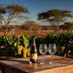 Marchese lança primeiro espumante de Chenin Blanc no Cerrado do DF e conquista ouro