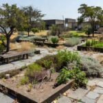 Hospital público no DF com falta de recursos e jardim terapêutico abandonado