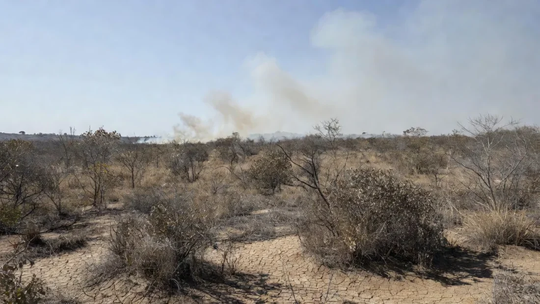 Paisagem do Cerrado seco no DF com alerta de incêndios florestais