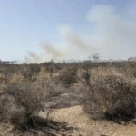 Paisagem do Cerrado seco no DF com alerta de incêndios florestais