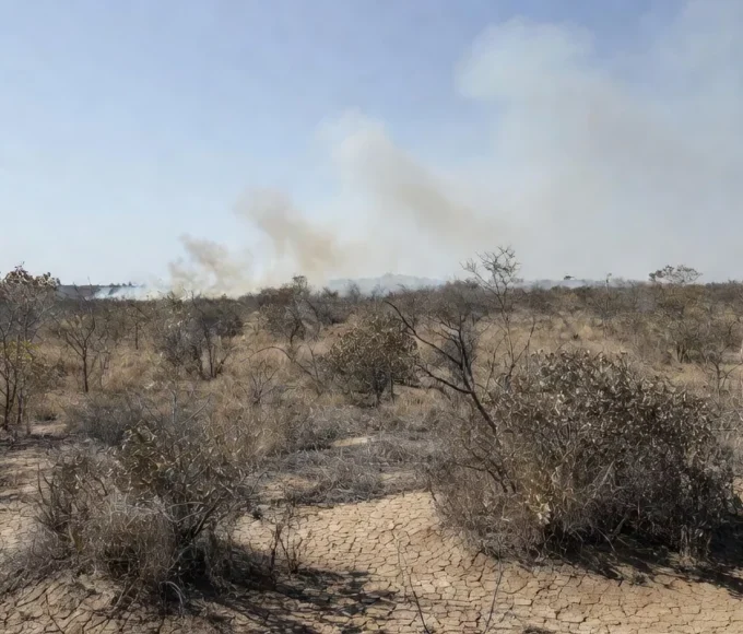 Paisagem do Cerrado seco no DF com alerta de incêndios florestais