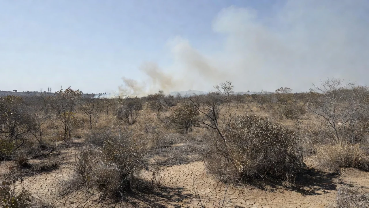 Paisagem do Cerrado seco no DF com alerta de incêndios florestais